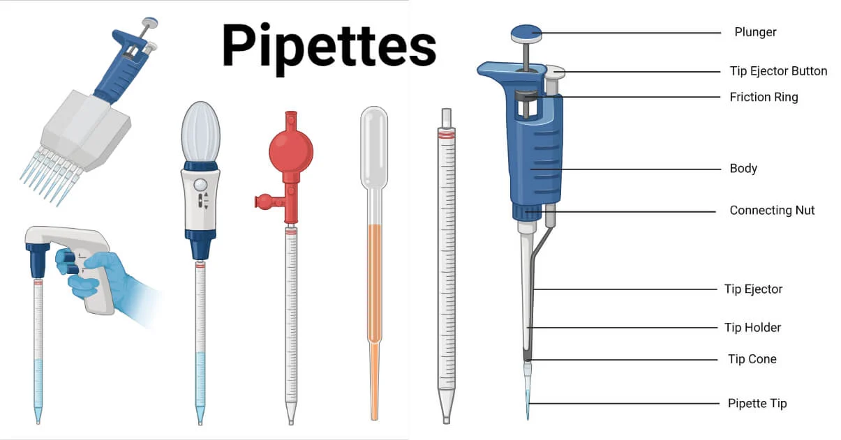 Illustration of various micropipettes with different volume ranges and features