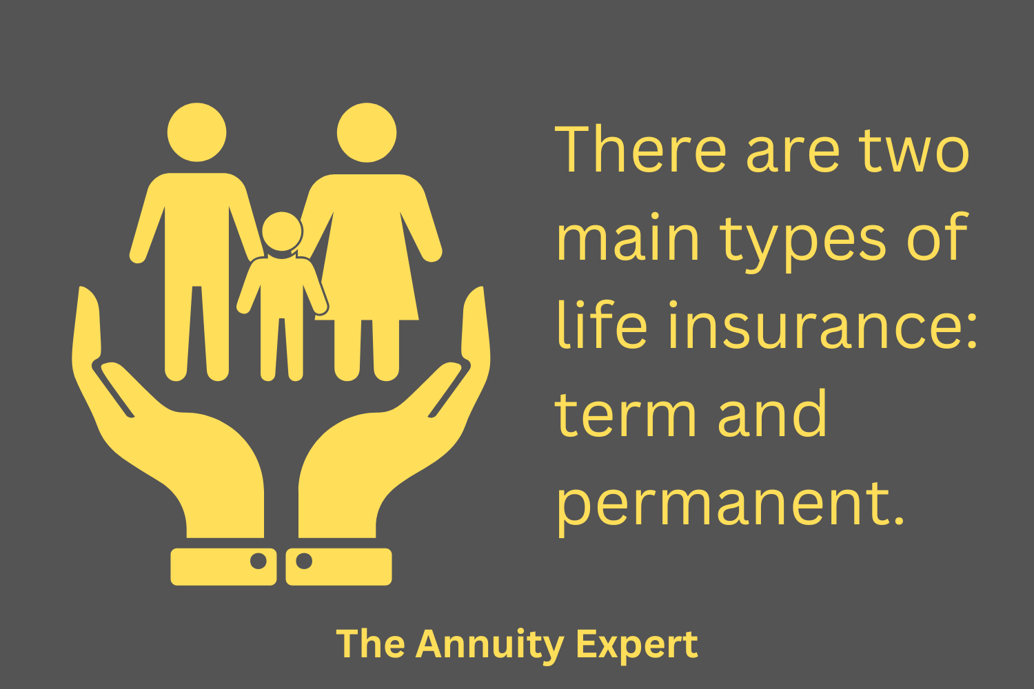 What Are The Two Main Types Of Life Insurance?