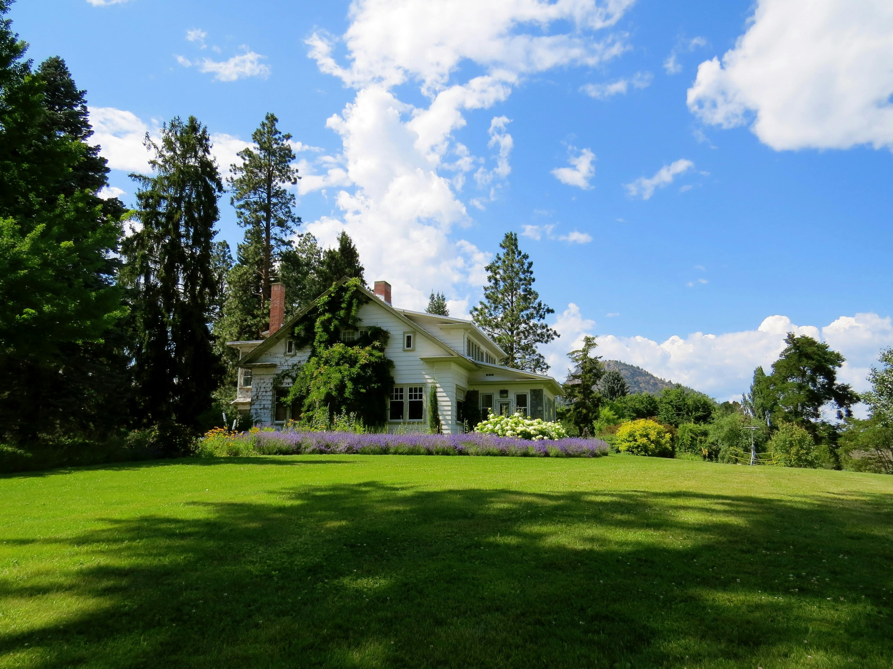 Single family house on large plot of land, ready to be sold by the owners.