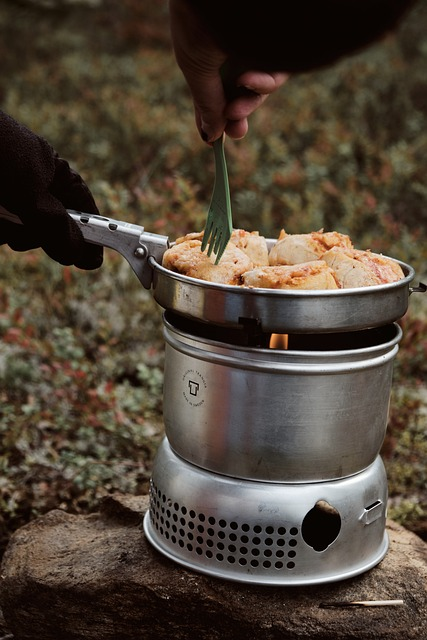 Camp Stove