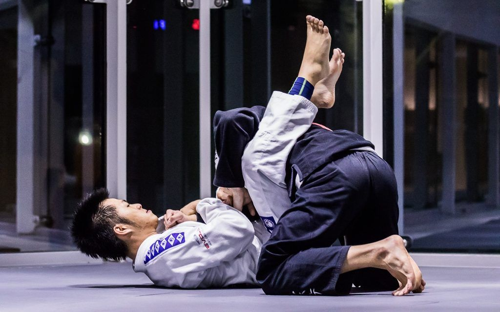 Belt Ranks in BJJ: Gracie Jiu Jitsu System - Grapplers Graveyard