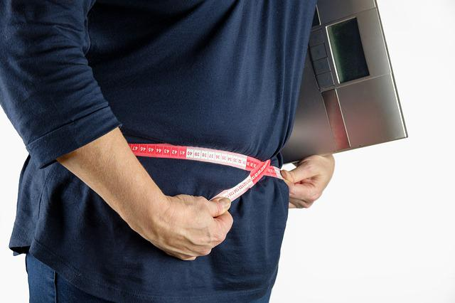 obesity questions for a research 