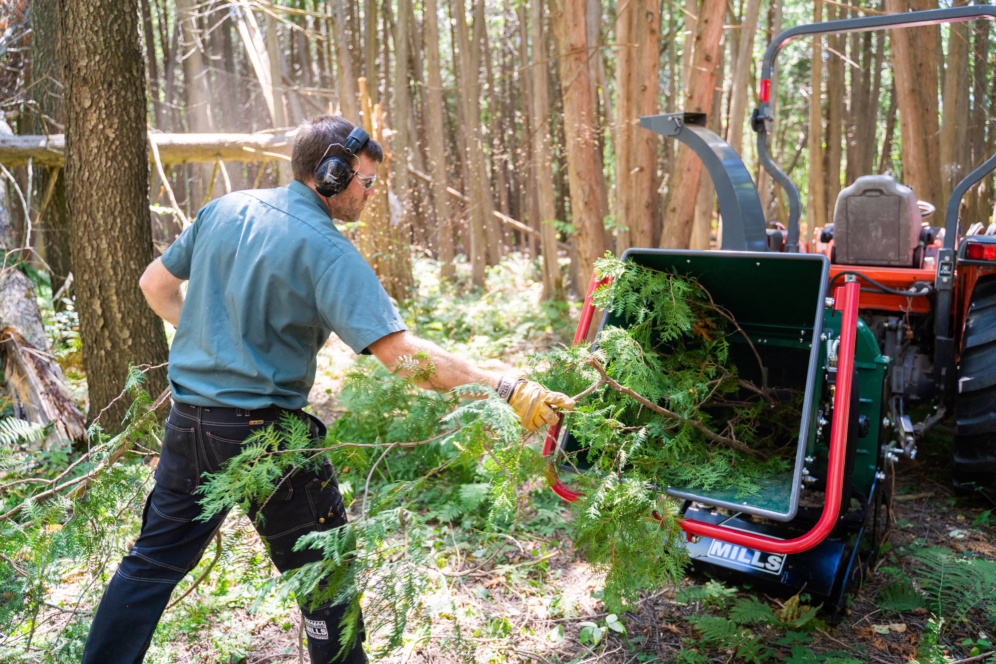 A woodlot owner feeding branches into a Woodland Mills wood chipper.