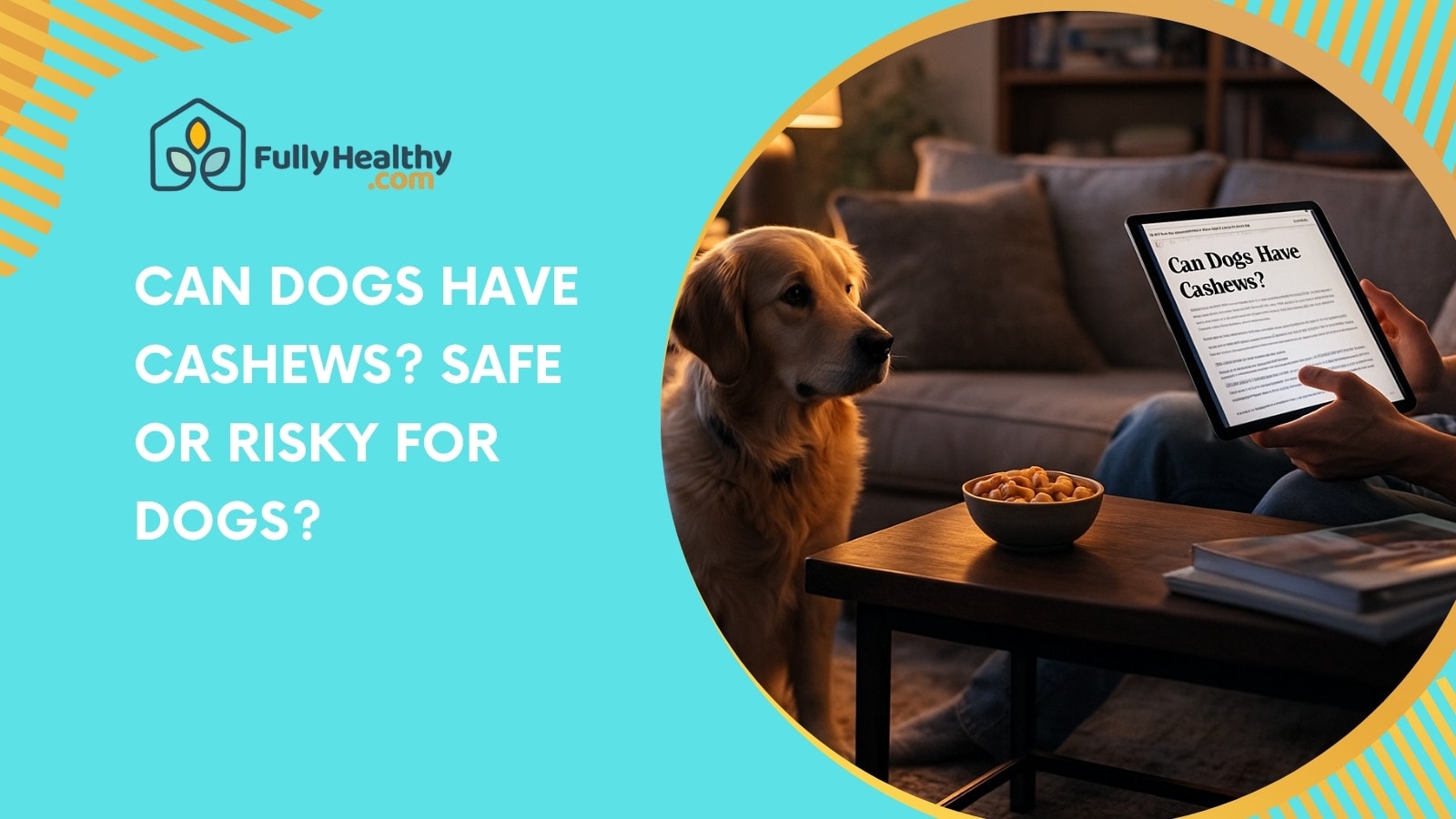 Can Dogs Have Cashews? Safe or Risky for Dogs?