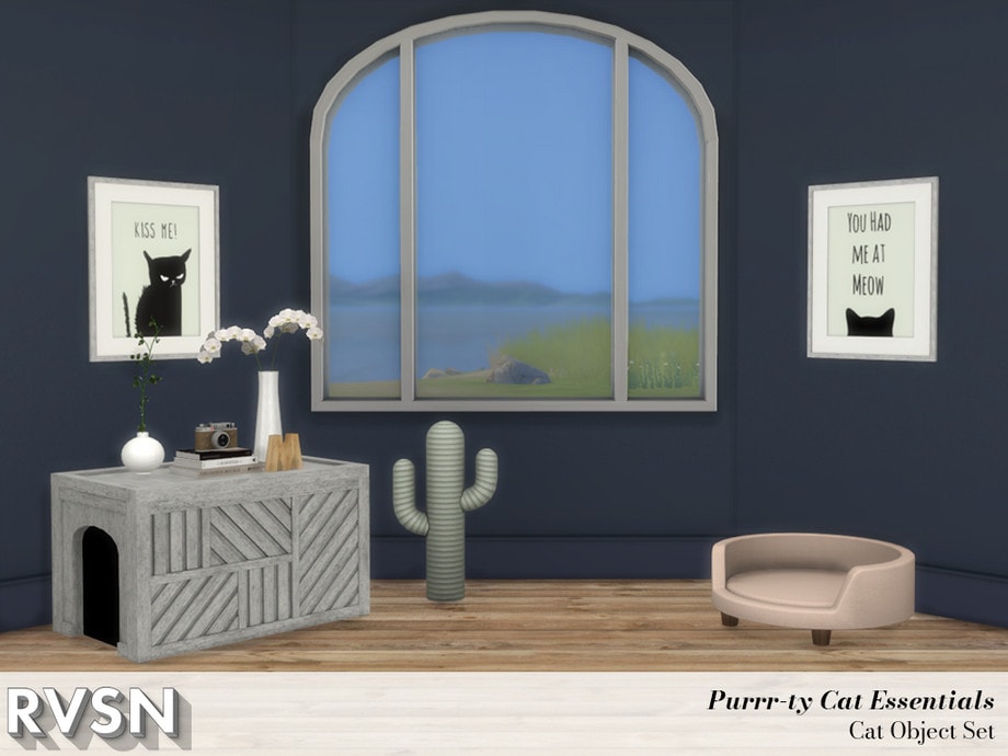 Purr-Fect Cat Essentials Set
