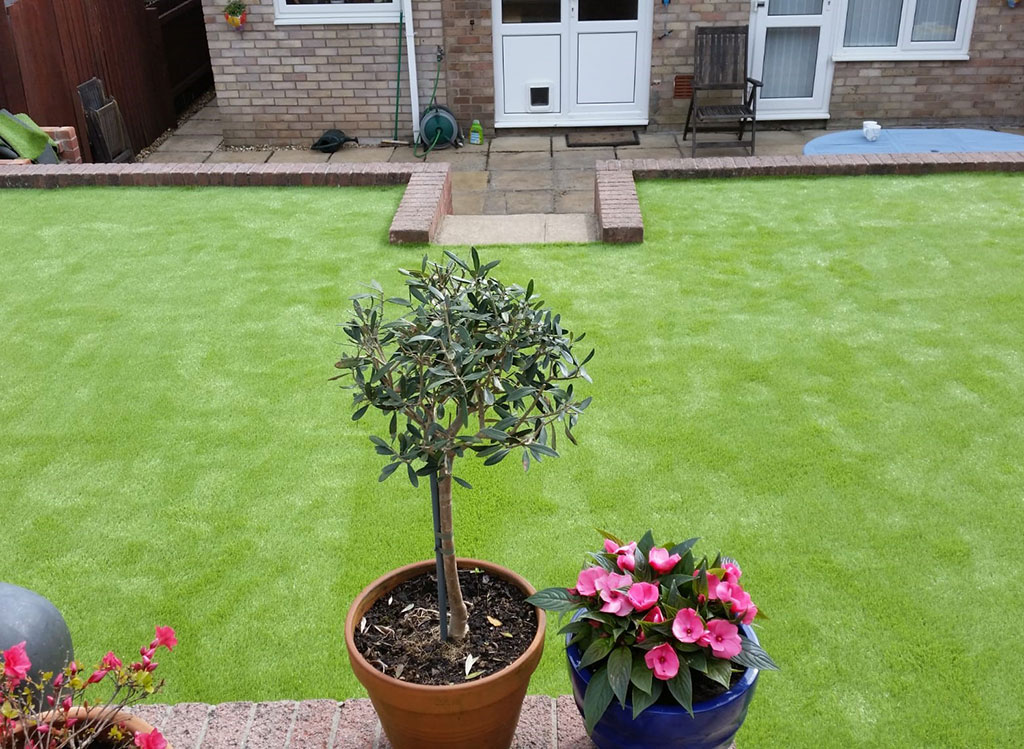 Garden Astroturf