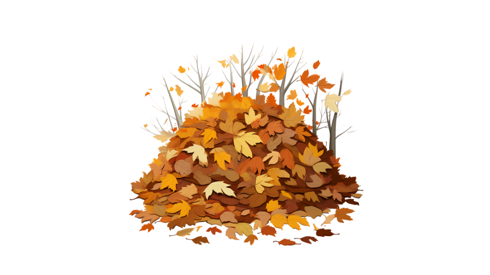 Pile of Leaves