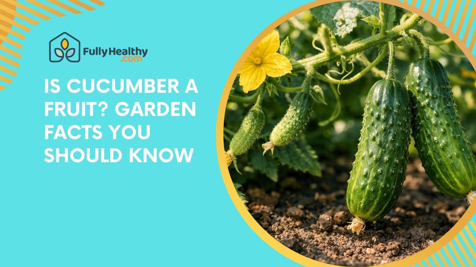 Is Cucumber A Fruit? Garden Facts You Should Know