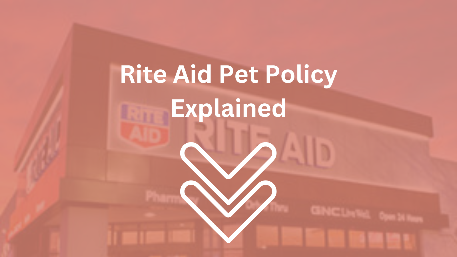 Image Text: "Rite Aid Pet Policy Explained"