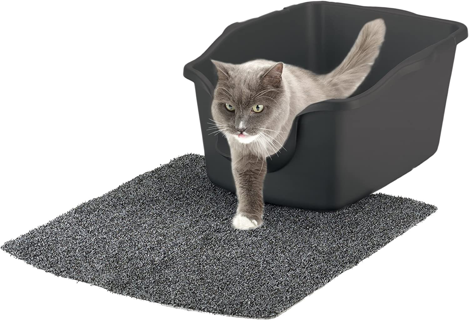 10 Best Litter Boxes for Cats in 2022