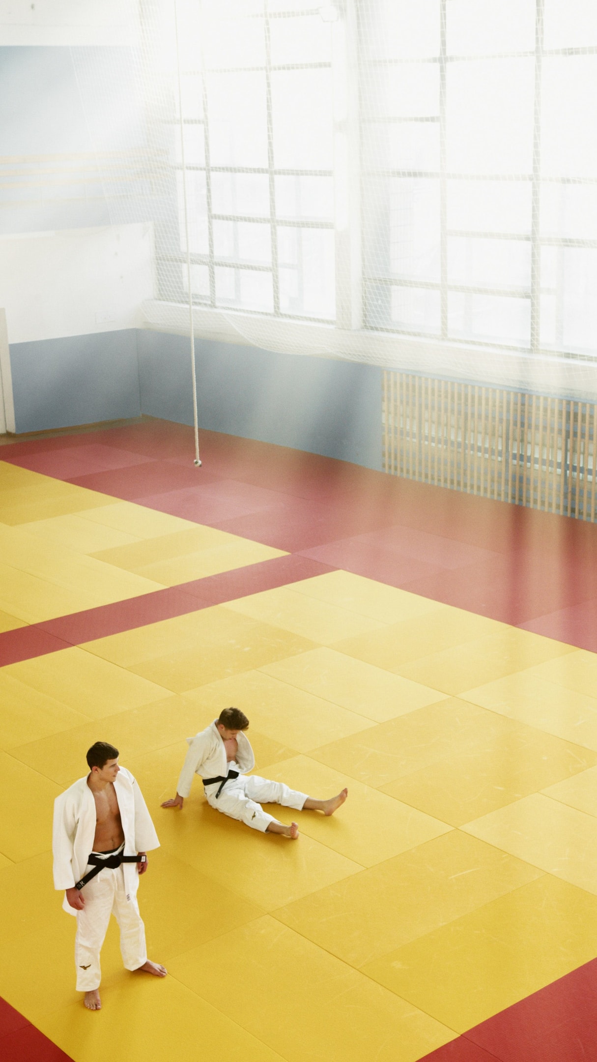 you don't have to join competitions or train for the olympic games when you sign up for taekwondo. if you're looking for a sport that has a balance of fun and improved body composition through, we suggest that your first step would be to research martial arts classes