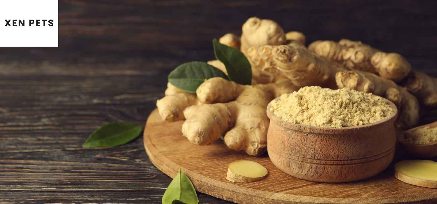Ginger root is used in calming soft chews