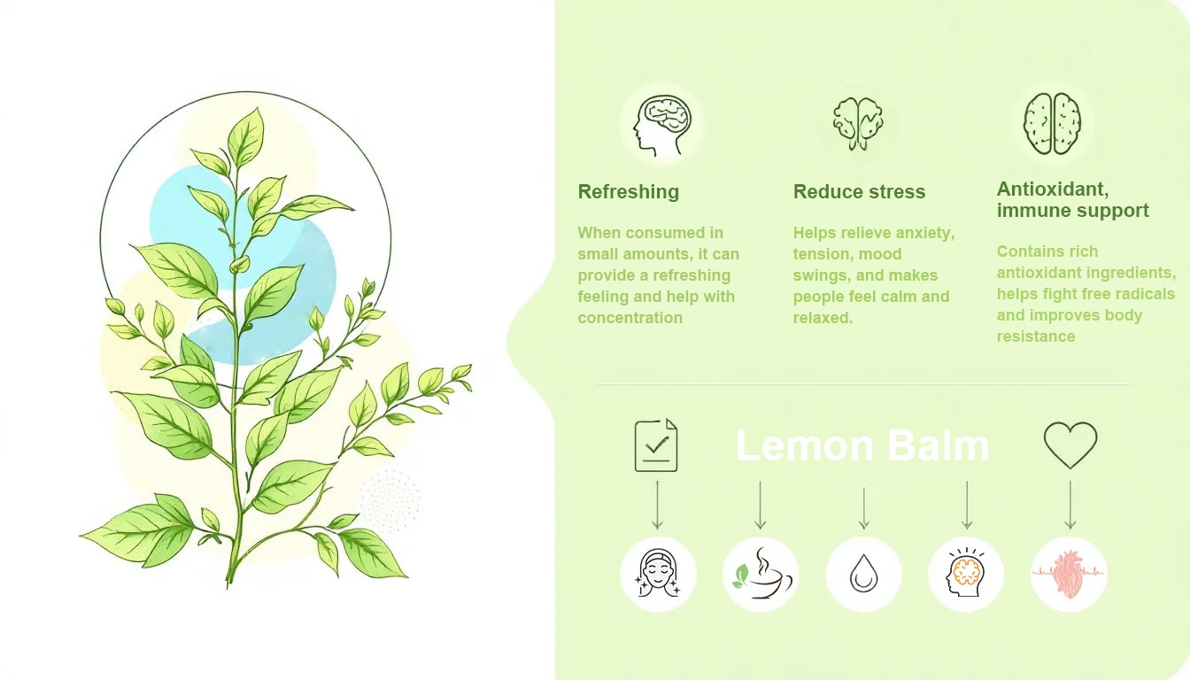 Health Benefits of Lemon Balm