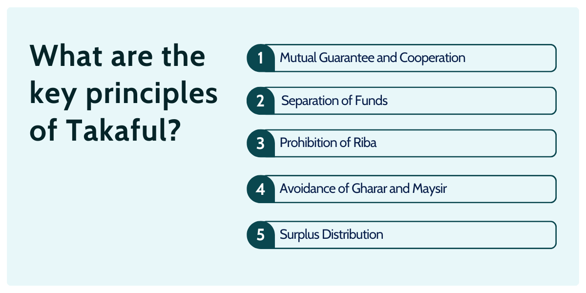 international islamic fiqh academy