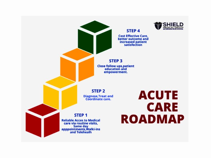 Acute Care Roadmap