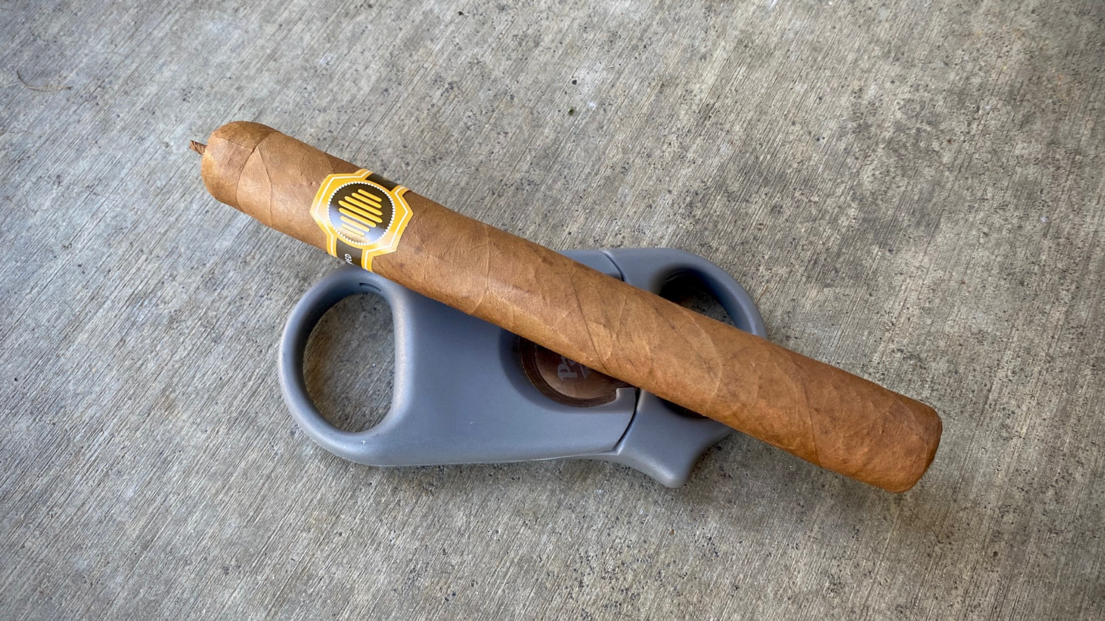 Warped La Colmena First Impressions
