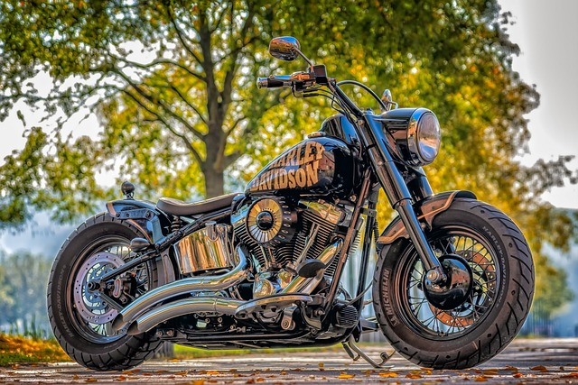 harley davidson, motorcycle, machine