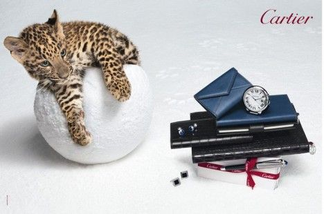 Cartier ad