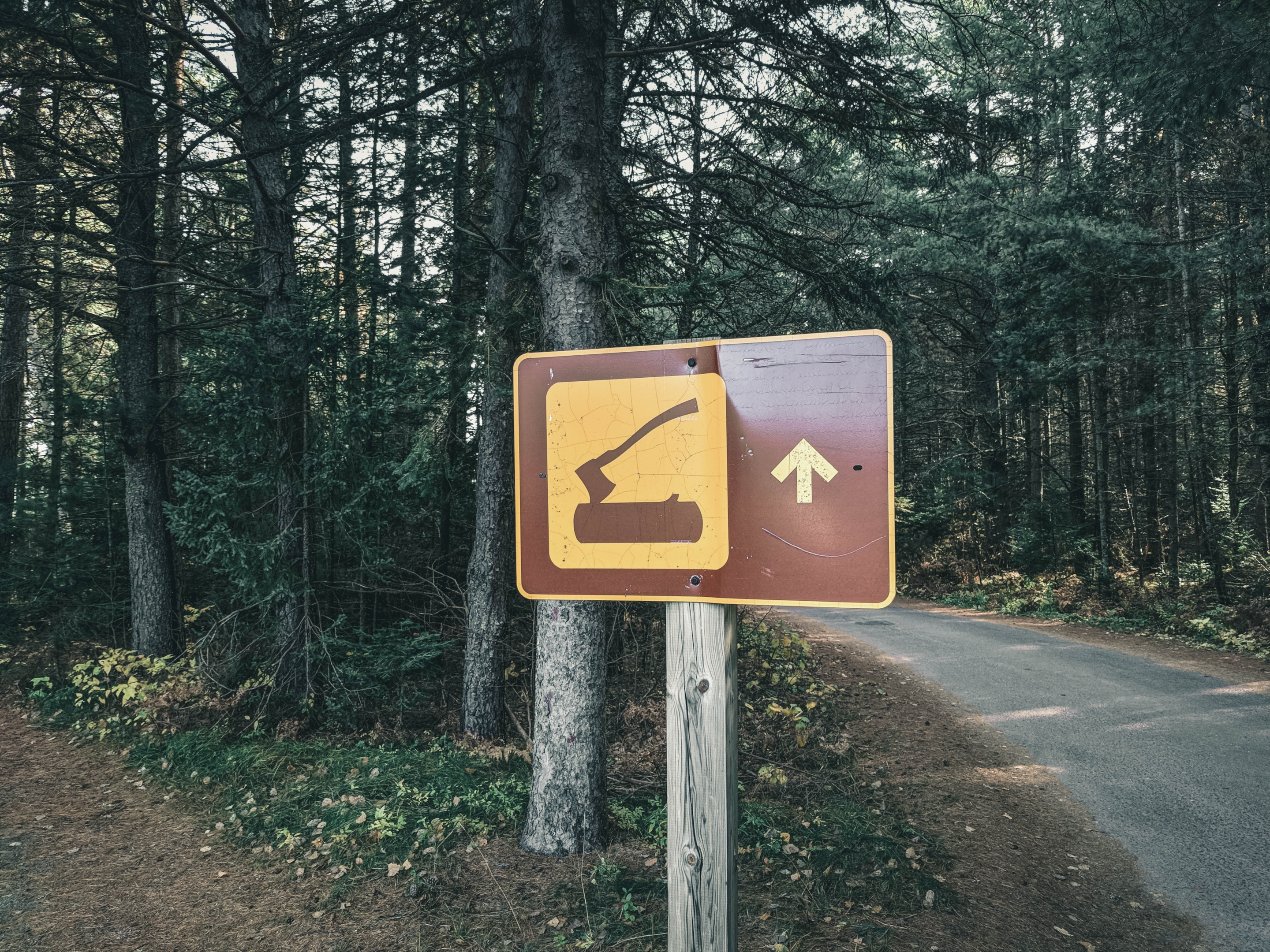 Canada's wilderness in algonquin provincial park 