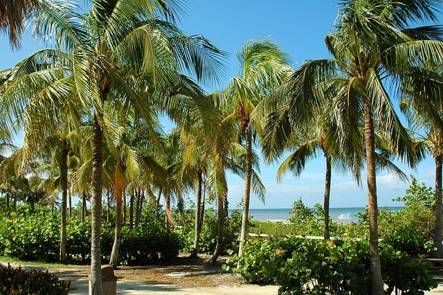 USA Family Holidays: Fun in Florida Beyond the Theme Parks