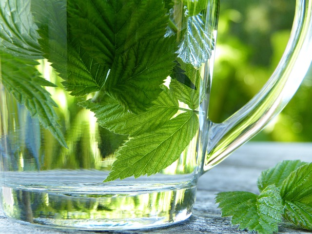 glass, tea, herbs