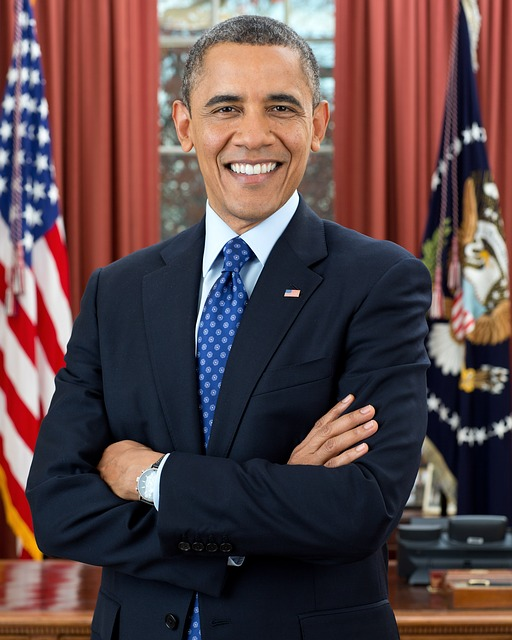 barack obama, official portrait, president of the united states