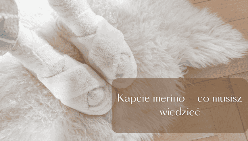 Co to wełna merino i czym się różni od zwykłej