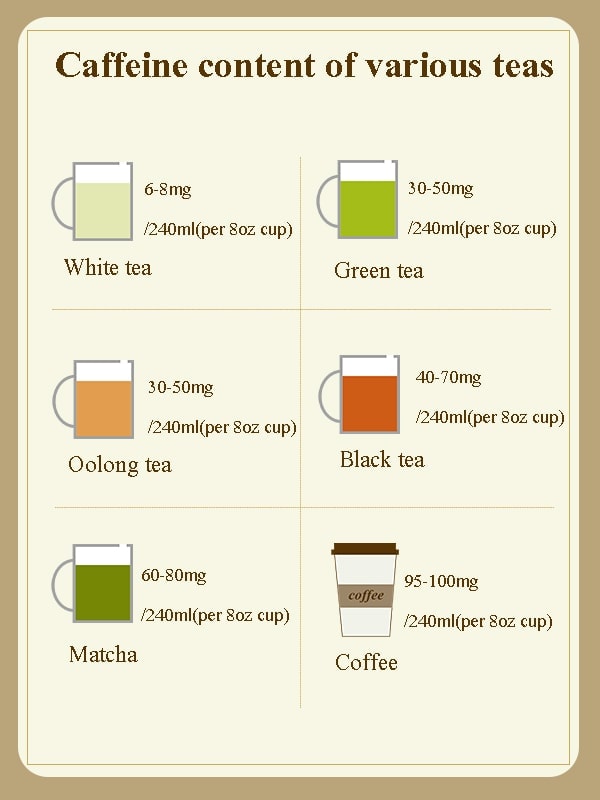 caffeine content of various teas
