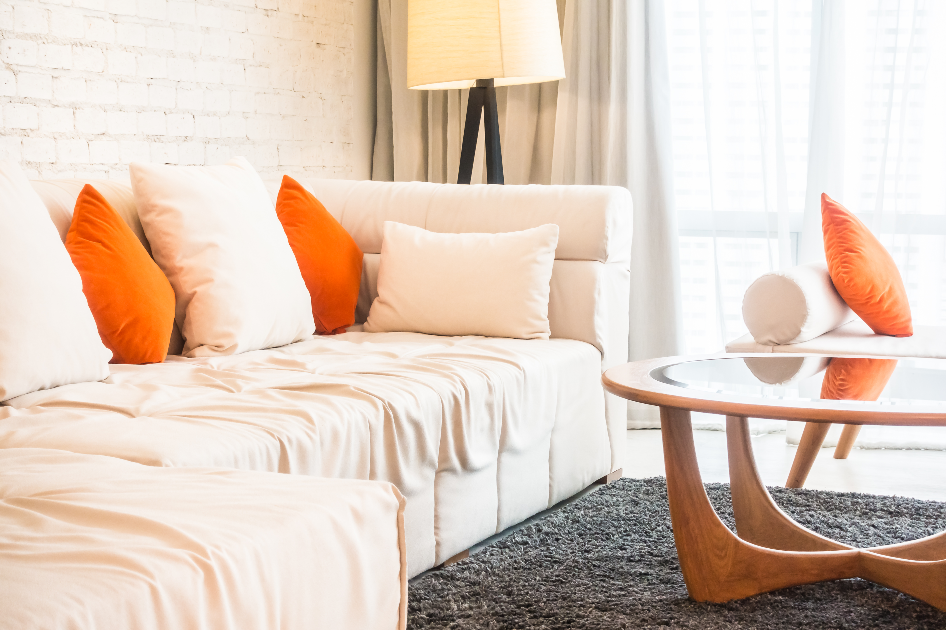 Practical Considerations In Choosing Between  Daybed and Sofa Bed - Shohaus