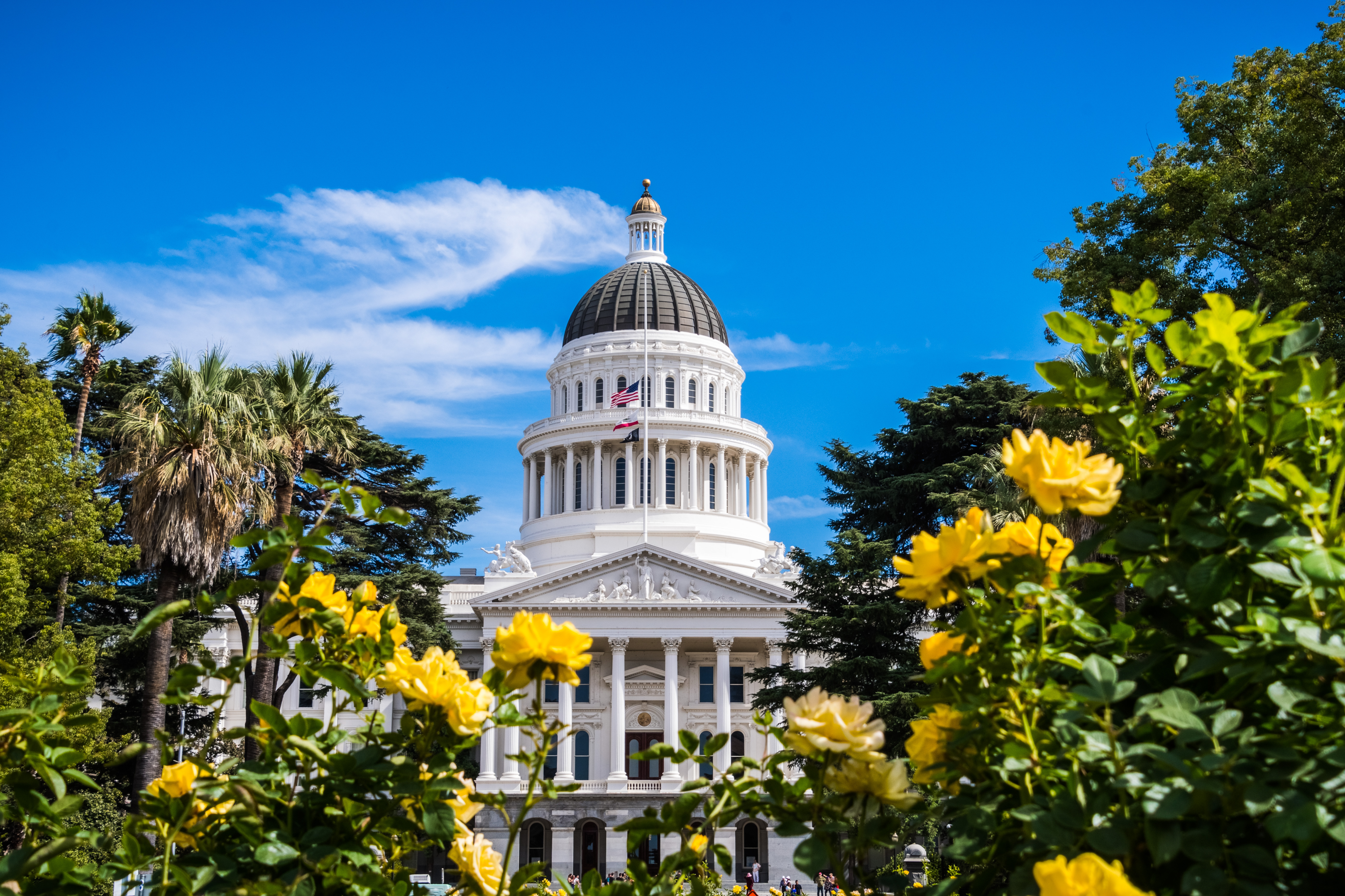 Navigating Sacramento CA Family Court? Trust the Expertise of Our Family Law Lawyers. As members of the Sacramento County Bar Association, we provide skilled representation and guidance. Contact us today for compassionate support and effective solutions