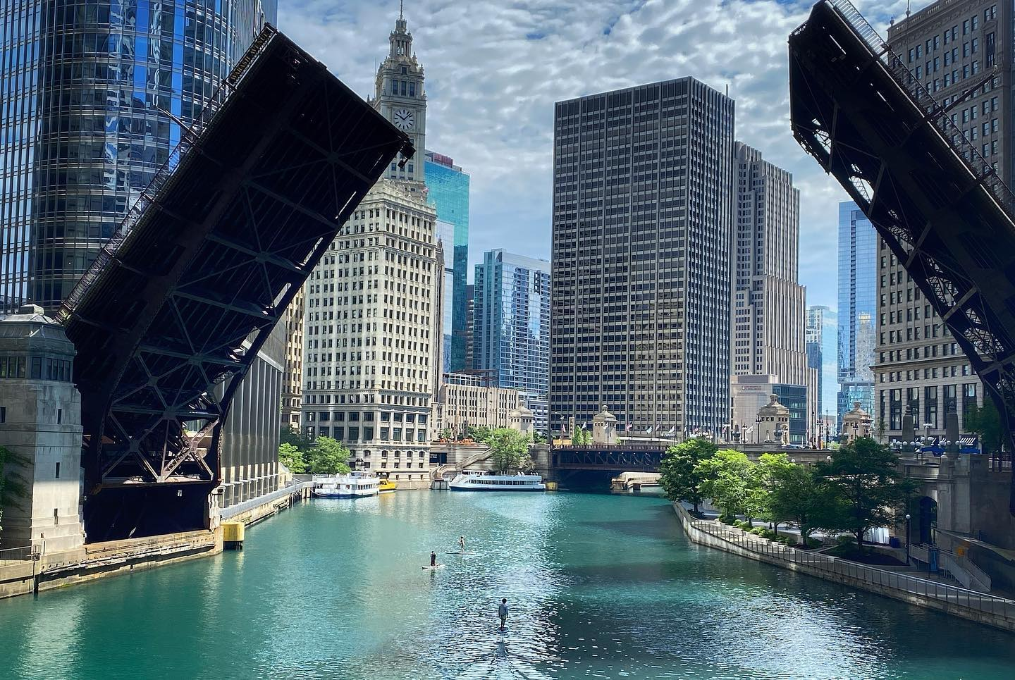 Paddle boarding the Chicago River