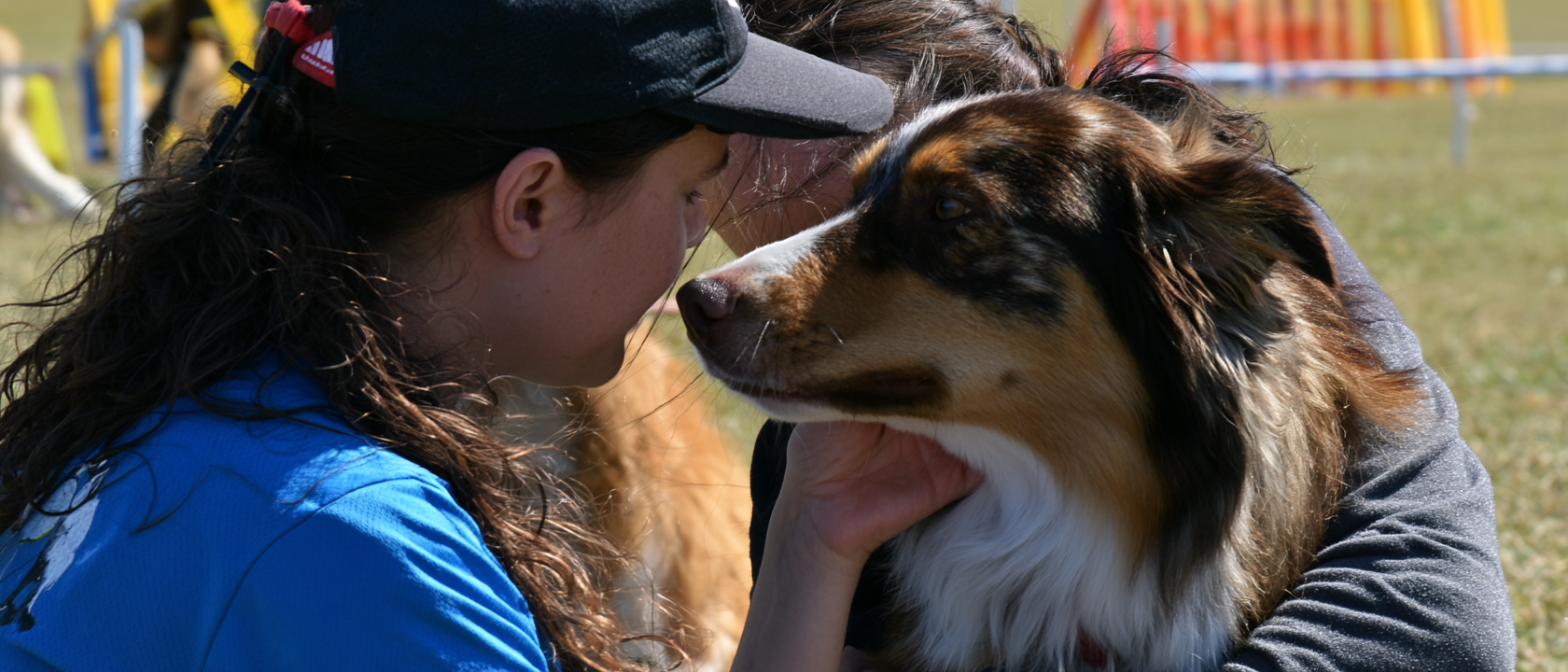 How agility equipment supports the dog and handler bond