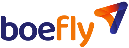 boefly review, logo, small business loans
