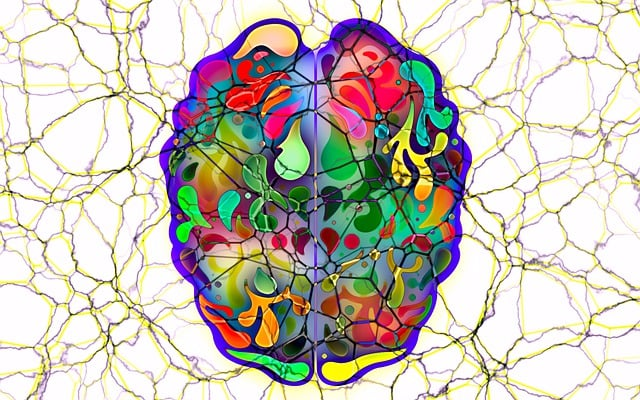 brain, head, mind, vibrational alignment