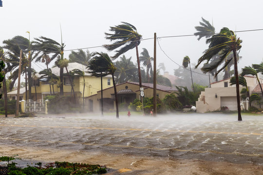 Harsh weather flooding and wind