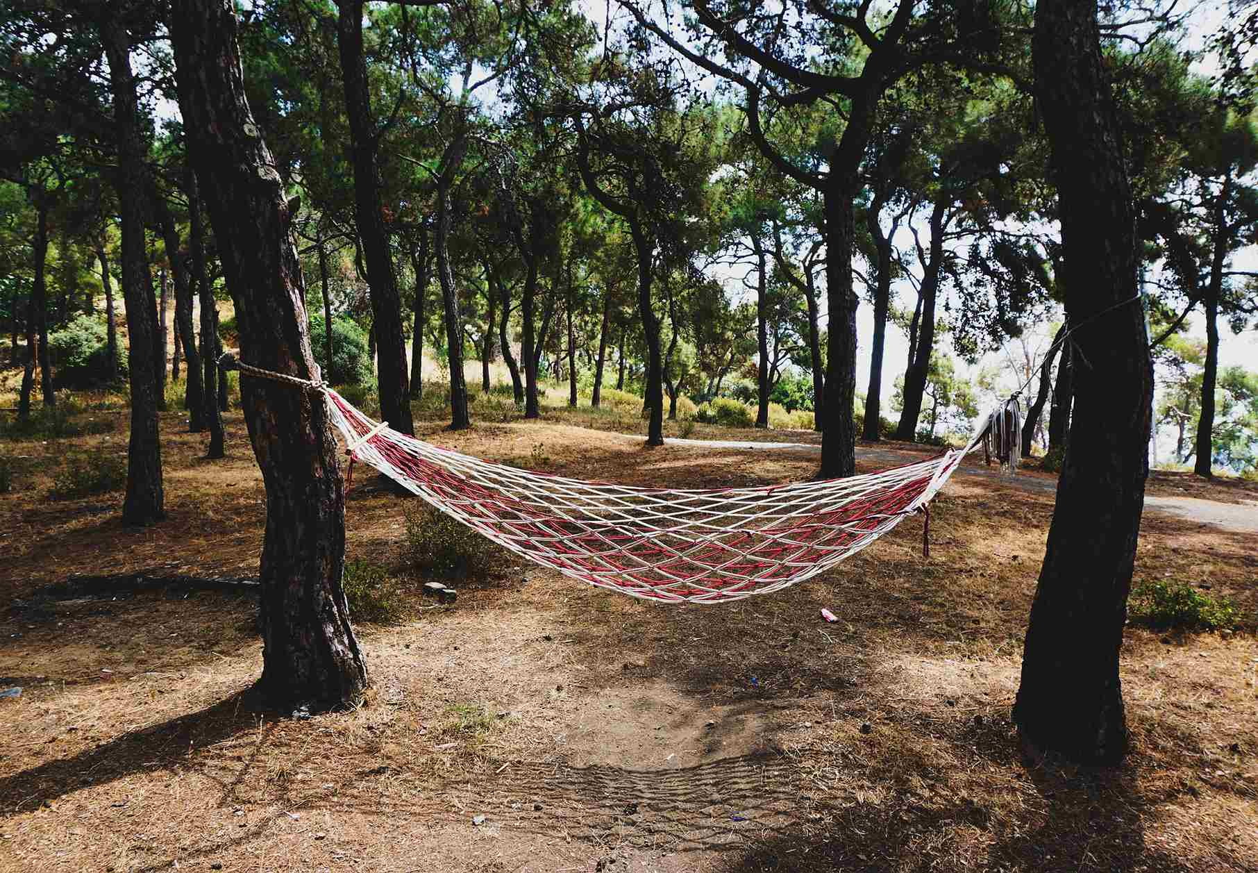 Bivouac in a hammock is in a legal gray area