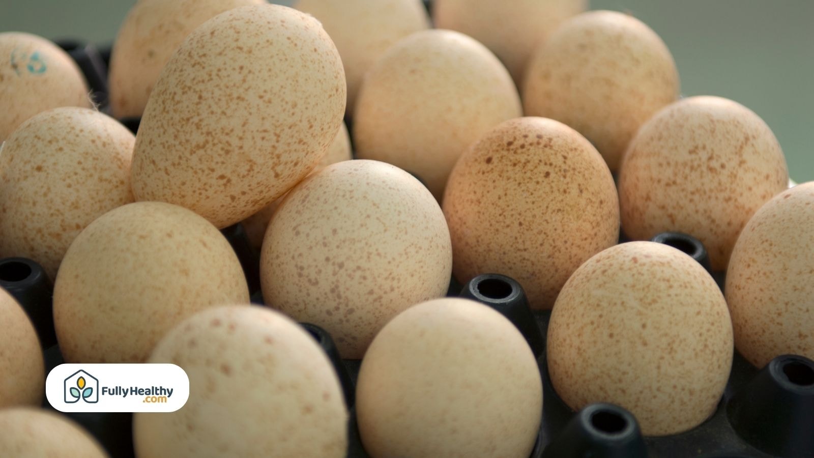 Speckled turkey eggs arranged in a black commercial egg tray