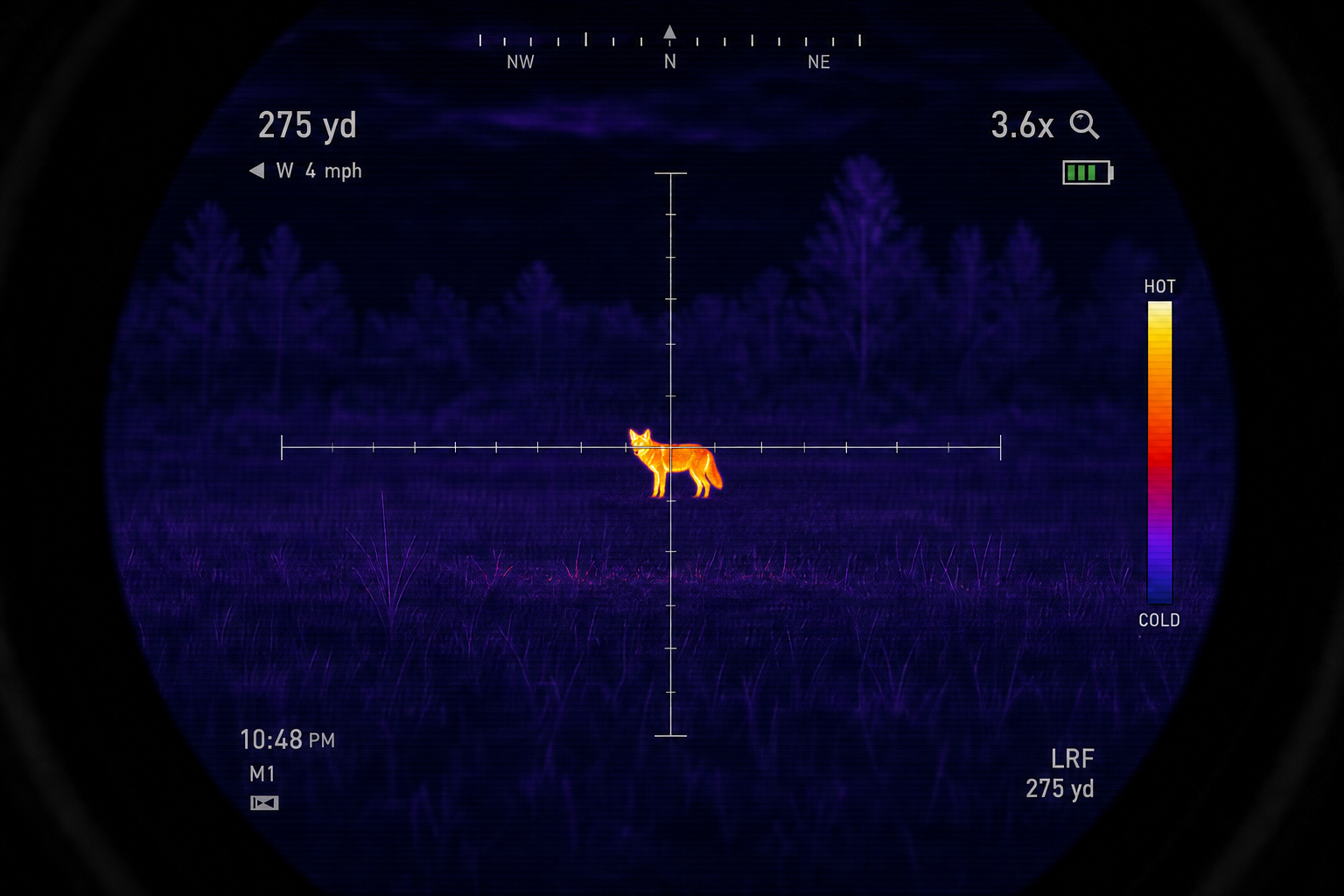 Thermal image of a coyote at 275 yards with basic other parameters showing other specifications.