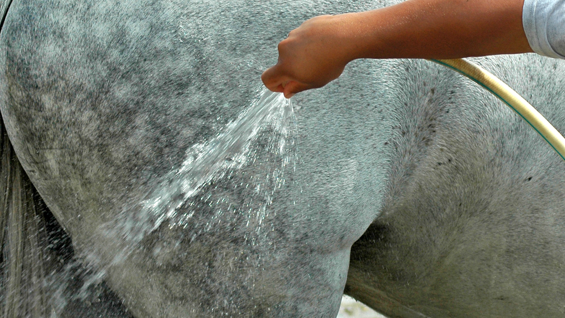 Hitze, Wasser