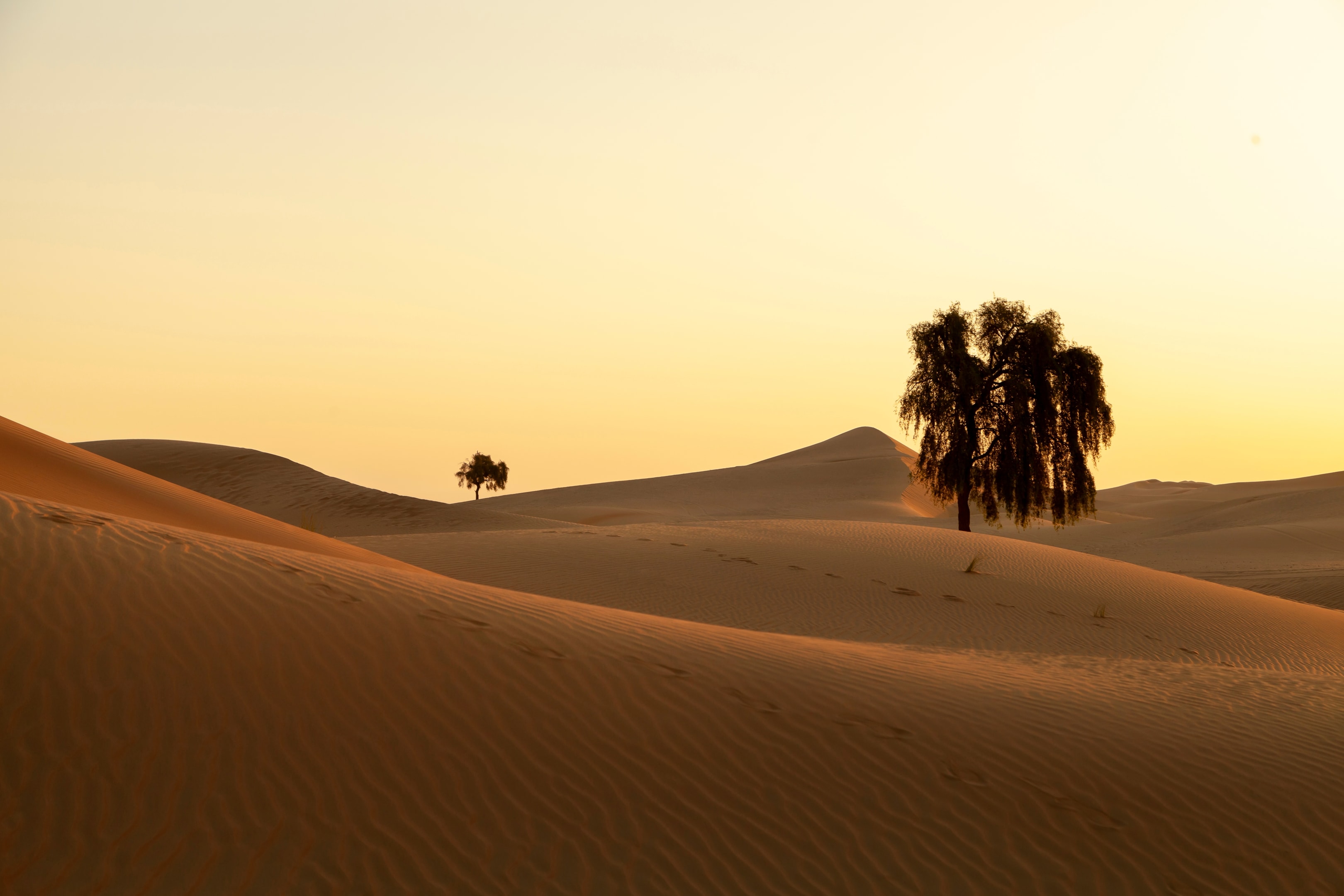 UAE Desert Terrains