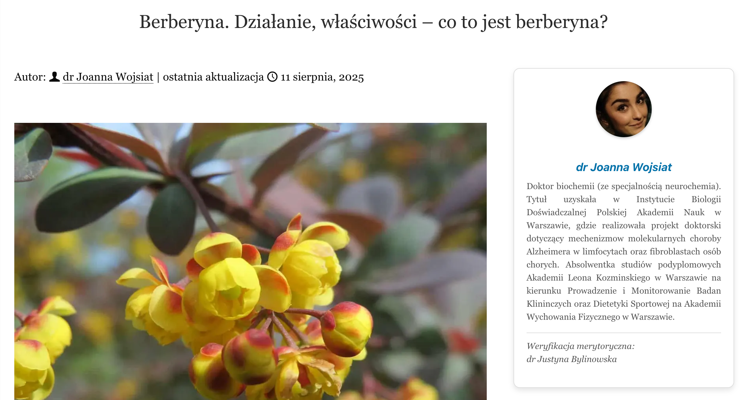 Główny widok audytowanego artykułu.