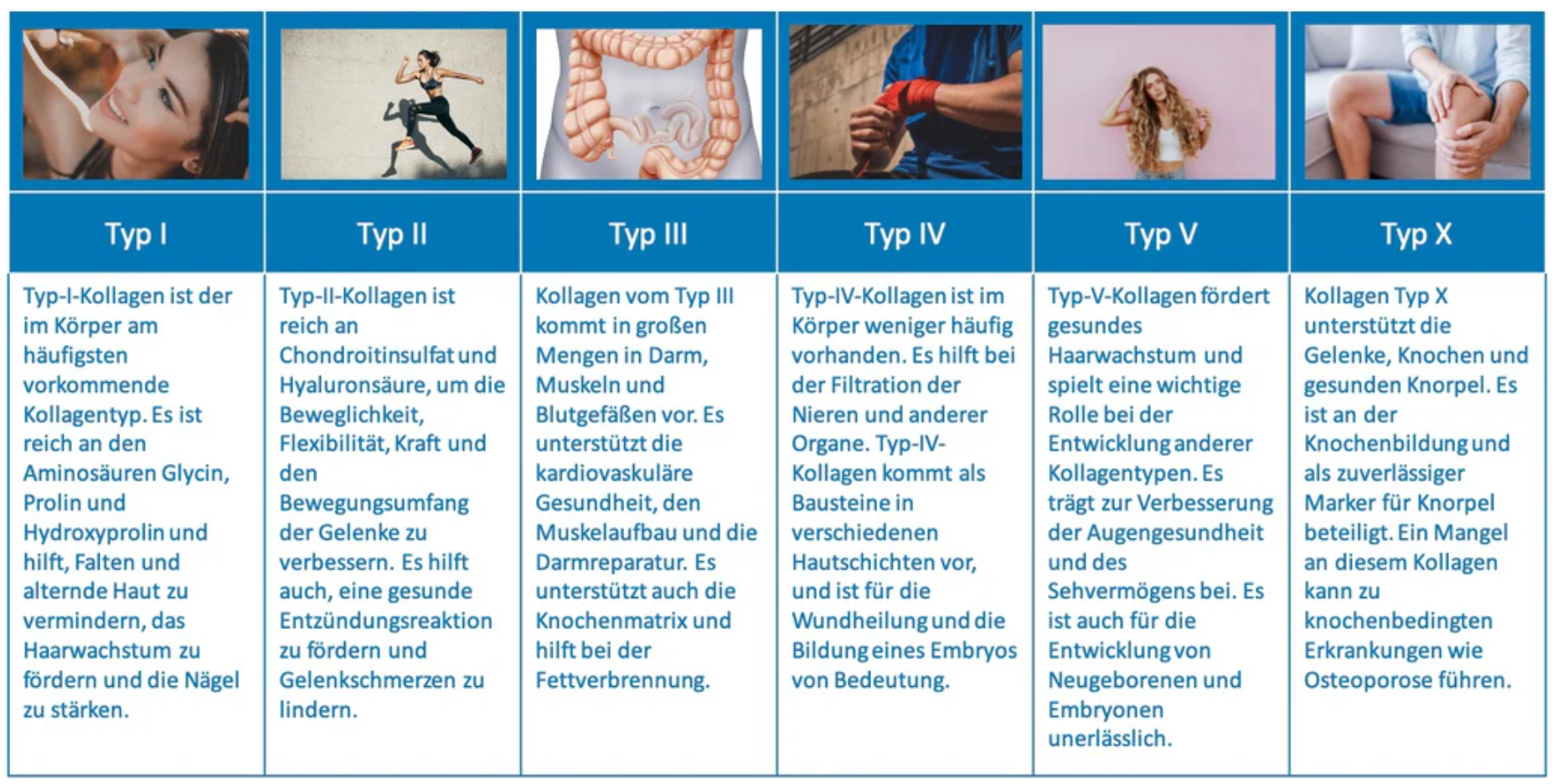 Kollagen Typen verständlich erklärt