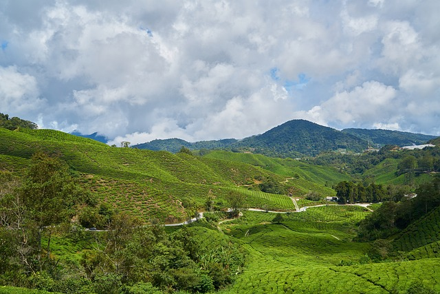 mountain, green, blue