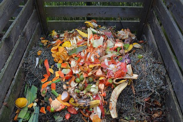 green waste, compost, compost bin