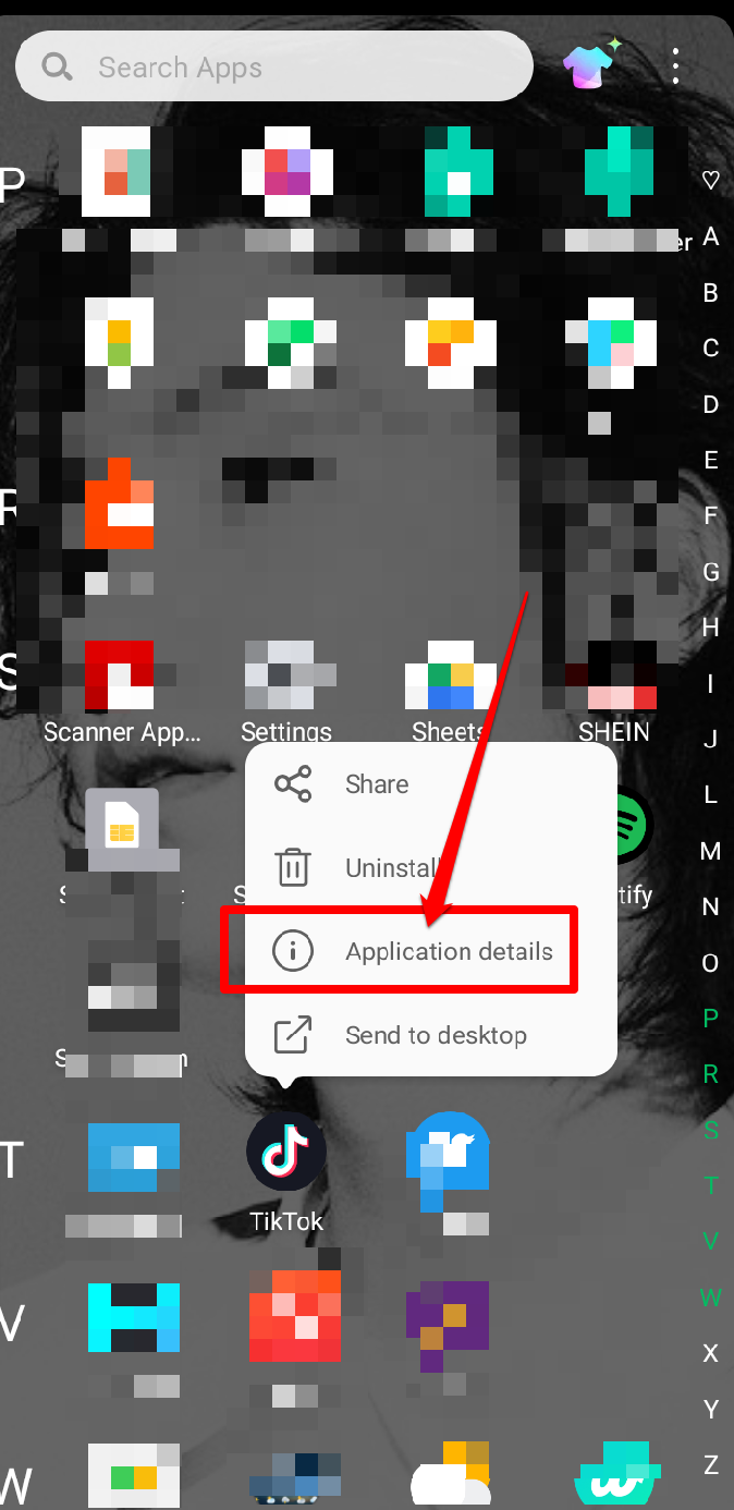 image showing how to get an application detail from an android phone
