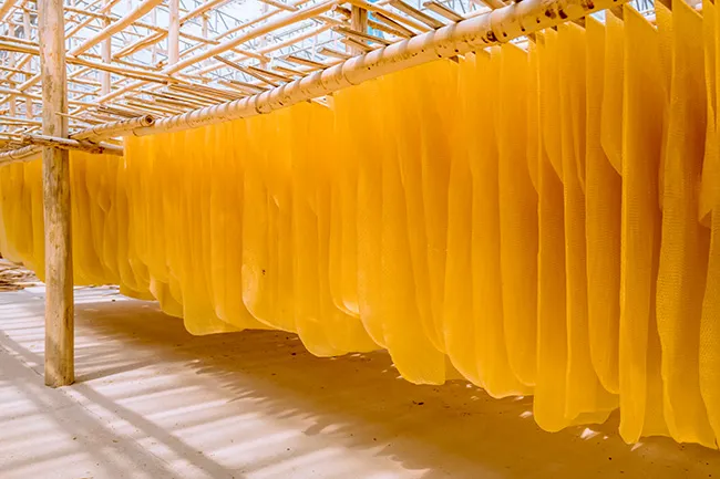 natural rubber drying