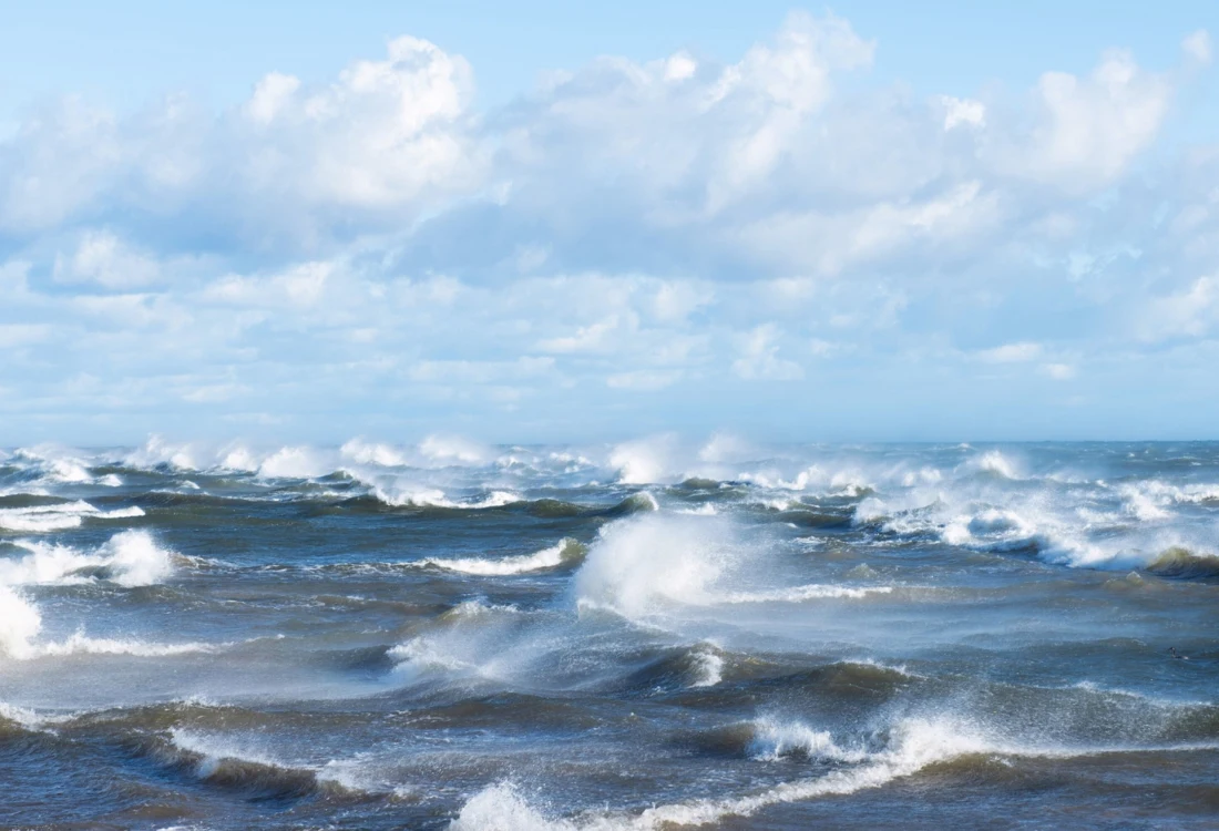 Itämeren rehevöityminen on jatkunut 2000 luvulla. Rehevöityminen johtuu muun muassa maatalouden ja jätevesien ravinnekuormituksesta, joka virtaa valuma-alueilta suoraan mereen ja Itämereen, jolloin veden ja vesien laatu heikkenee erityisesti Suomenlahden alueella ja meren tila muuttuu nopeasti.