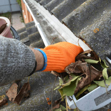 A person cleaning up the gutter and picking up the leaves using a gloves