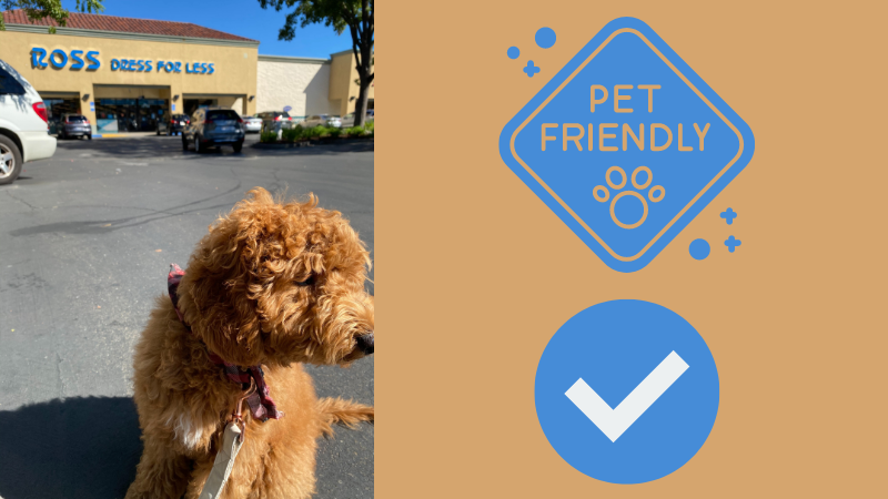 Image of a dog in front of a Ross Dress for Less store. On the right side are graphics showing that Ross is pet-friendly.
