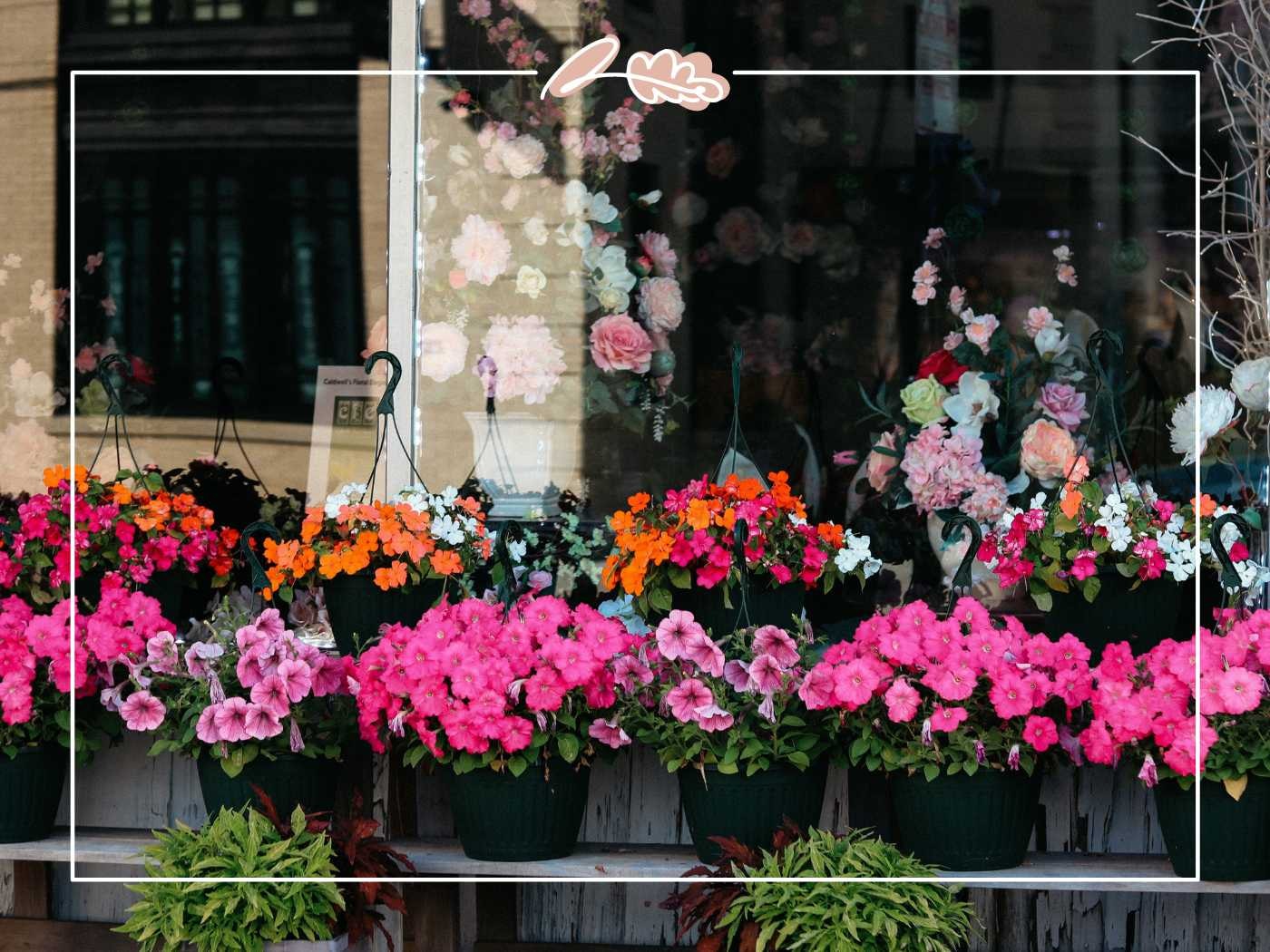 A display of vibrant potted flowers in front of a shop window, showcasing a variety of colorful blooms. Fabulous Flowers and Gifts.